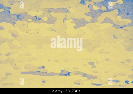 Platanus or sycamores bark tree background. Abstract texture background, pale yellow toned Stock Photo