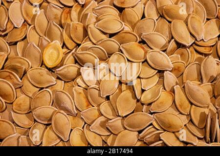 Background of roasted dry brown pumpkin seeds Stock Photo