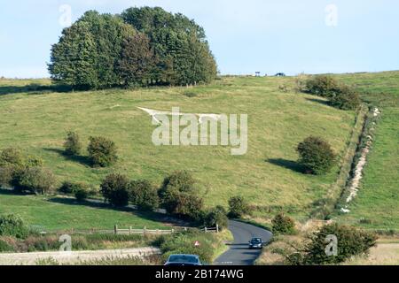 White Horse carved into hillside at Hackpen Hill, near Swindon, Wiltshire, England Stock Photo