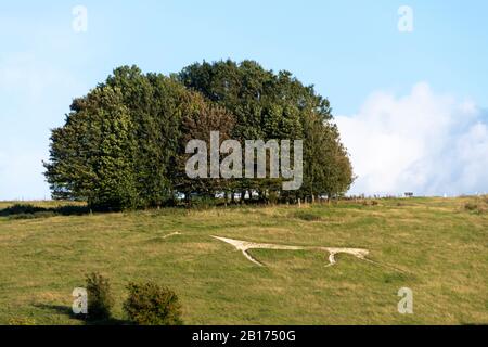White Horse carved into hillside at Hackpen Hill, near Swindon, Wiltshire, England Stock Photo