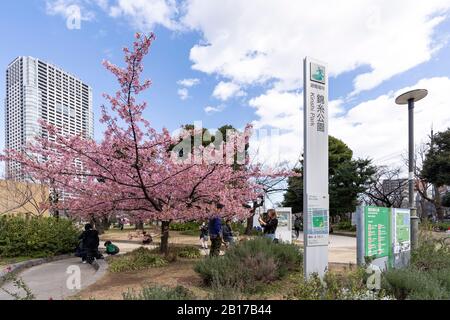 Kinshi Park, Sumida-Ku, Tokyo, Japan Stock Photo