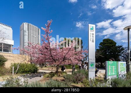 Kinshi Park, Sumida-Ku, Tokyo, Japan Stock Photo