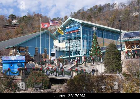 Front entrance to Ripley’s Aquarium of the Smokies curing the Christmas season, Gatlinburg, TN Stock Photo