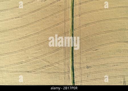 Aerial view of rural dirt road (tire track) through agricultural ripe grain fields, full frame. Franconia, Bavaria, Germany, Europe. Stock Photo