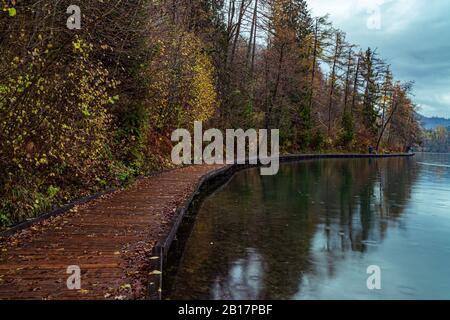 Beautiful wooden path or way along coastline of Bled lake in Slovenia at late fall. Calm and romantic walk path for promenades  Stock Photo