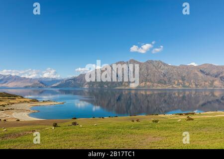 New Zealand, Queenstown-Lakes District, Wanaka, Scenic view of Lake Hawea in summer Stock Photo