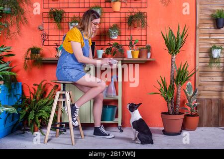 Woman taking cell phone picture of her dog on the terrace Stock Photo