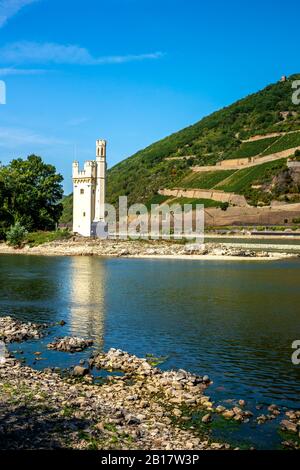 Germany, Rhineland-Palatinate, Bingen am Rhein, Bank of Rhine with Mouse Tower in background Stock Photo