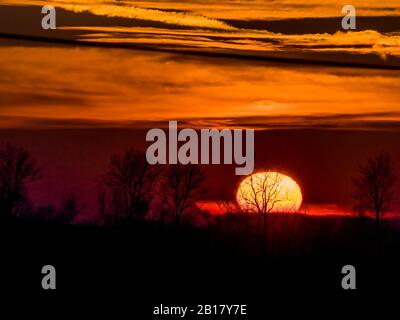 Austria, Silhouettes of trees against at sunset Stock Photo