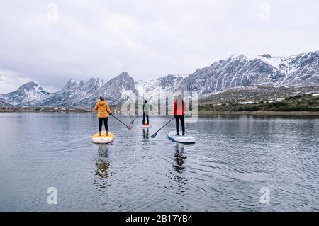 Three people stand up paddle surfing, Leon, Spain