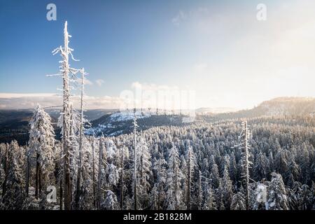 Winter landscape at Hornisgrinde, Black Forest, Germany Stock Photo