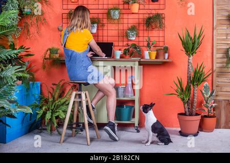 Woman with dog using laptop on her terrace Stock Photo