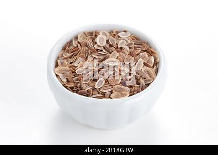 Fennel seeds (Anethum graveolens) in a white bowl on white background. The plant is used in medicine, in perfumery and cosmetics. Stock Photo