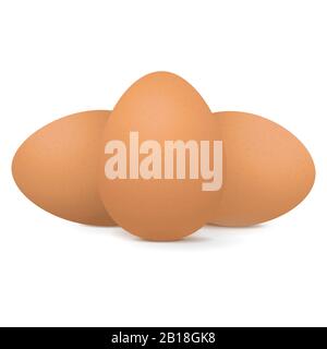 Chicken eggs Stock Vector