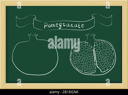 Pomegranate. Sketch on chalkboard background Stock Vector