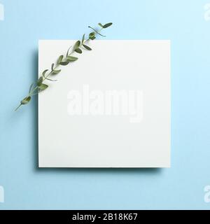 White memo pad, empty paper with eucalyptus leaves on sky blue background. top view, copy space Stock Photo