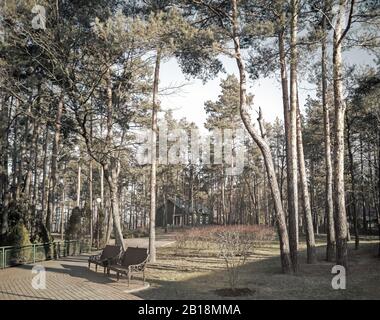 Autumn landscape: late autumn in the Park. Stock Photo