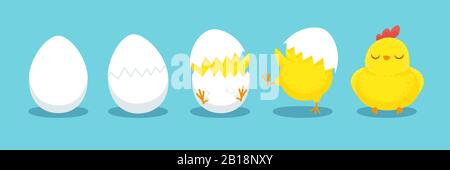 Chicken hatching. Cracked chick egg, hatch eggs and hatched easter chicks cartoon vector illustration Stock Vector