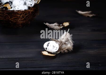 nest with decorative quail eggs and feathers in the nest and around on a dark background. Spring holiday concept. Copy space, template mockup Easter g Stock Photo