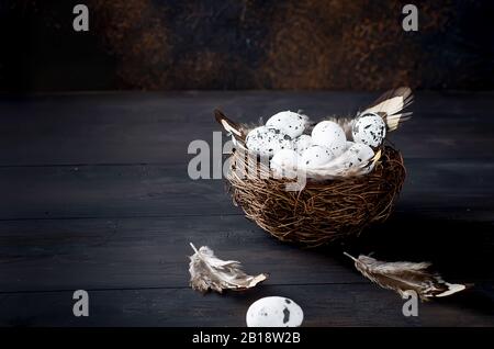 nest with decorative quail eggs and feathers in the nest and around on a dark background. Spring holiday concept. Copy space, template mockup Easter g Stock Photo