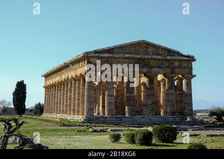 Neptune nettuno hera temple on Paestum archeological greek site in south italy Stock Photo