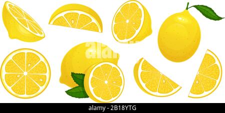 Lemon slices. Fresh citrus, half sliced lemons and chopped lemon isolated cartoon vector illustration set Stock Vector