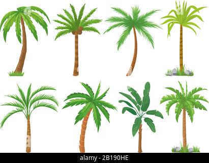 Palm trees. Tropical tree green leaves, beach palms and retro california greenery isolated vector set Stock Vector