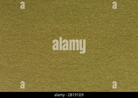 Admirable olive material texture. High resolution photo. Stock Photo