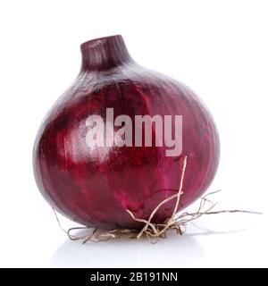 Red onions isolated on white background. Collection. Stock Photo