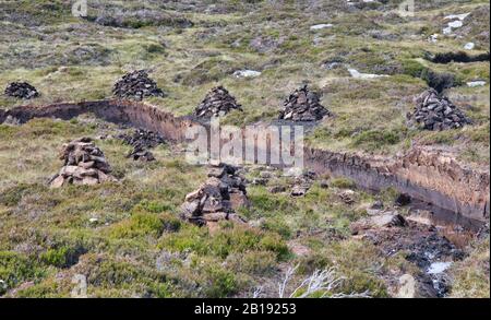 Piles stacks of freshly cut peat on moorland, Isle of Lewis and Harris, Outer Hebrides, Scotland Stock Photo