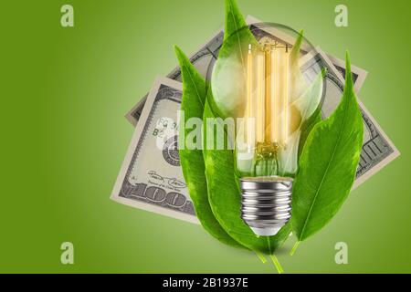 Energy saving concept. LED light bulb with dollars on a green background. Green leaves of a plant in the background. Stock Photo