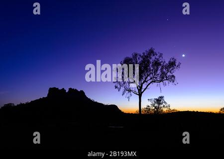 Silhouette of a single tree against the night sky at sunrise, Chambers Pillar, Northern Territory, NT, Australia Stock Photo