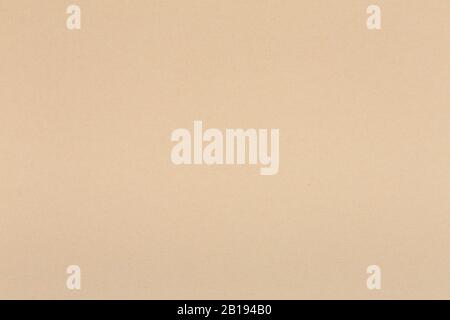 Beige tone water color paper texture. Light beige color tone background. Stock Photo