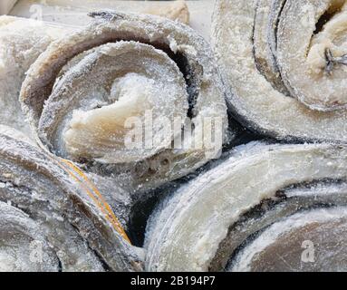 Rolls of dried codfish in Spanish shop window. The salted cod is known as bacalao in Spanish. Stock Photo