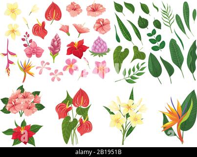 Tropical flower. Tropic forest flowers, exotic tropics plants leaves and flowering branch vector illustration set Stock Vector