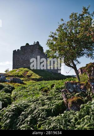 Ancient ruined Castle Tioram on the tidal island of Eilean Tioram, Loch Moidart, Lochaber, Highland, Scotland Stock Photo
