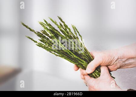 Old woman hands holding a bunch of asparagus in a greenhouse. Empty copy space for Editor's text. Stock Photo
