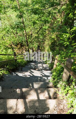 Jacobs Ladder a series of steps descending over 300 feet in to the lower reaches of the gorge below, Devil's Bridge (Pontarfynach) Wales UK. June 2019 Stock Photo