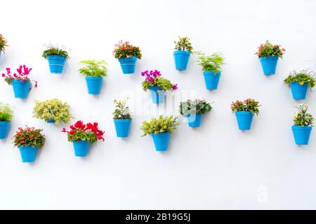 Blue flower pots with  flowers on white wall in Marbella Spain Stock Photo