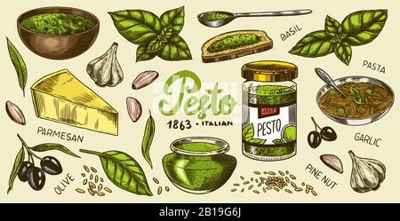 Pesto sauce set. Basil leaves, garlic, pine nuts, hard parmesan cheese, olive oil, pesto alla genovese. Spicy condiment, glass bottle, wooden spoon or Stock Vector