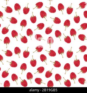 Seamless pattern of raspberry on white background. Stock Photo