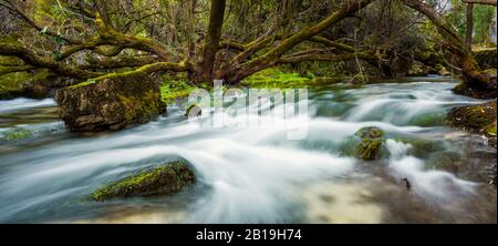 Emerald water that flows fast on the rocks of a river inside a canyon in the mountains. Nature of an unspoiled landscape. Long exposition. Stock Photo
