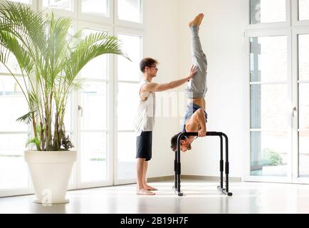 Fit strong man doing handstand push-ups on parallel bars during a calisthenics workout assisted by a personal trainer in a high key gym in a health an Stock Photo