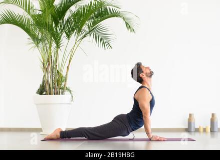 Sportive young man in black clothes doing upward facing dog yoga pose, during the work out on mat, viewed from the side against white wall and potted Stock Photo