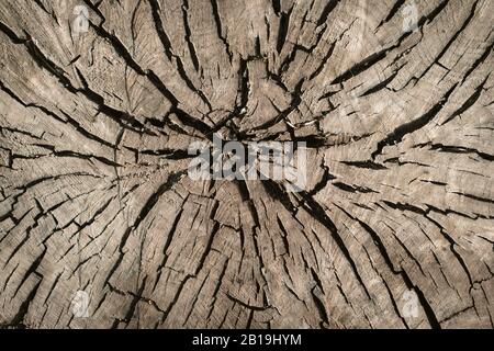 Aged wood texture background Stock Photo