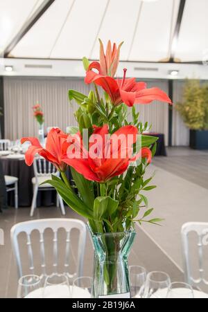 Alstroemeria mars red flowers in a vase. peruvian Lily. Alstroemeria. Stock Photo