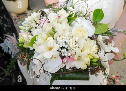 Bouquets of roses, orchids and white flowers. Stock Photo