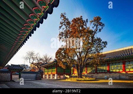 Seoul, South Korea - FEB 23 2020: Usually a busy weekend location, the beautiful Changdeokgung palace is nearly empty due to coronavirus concerns. Stock Photo