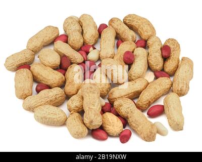 Dried peanuts in closeup Stock Photo