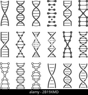 Structure of body icons set, outline style Stock Vector Image & Art - Alamy